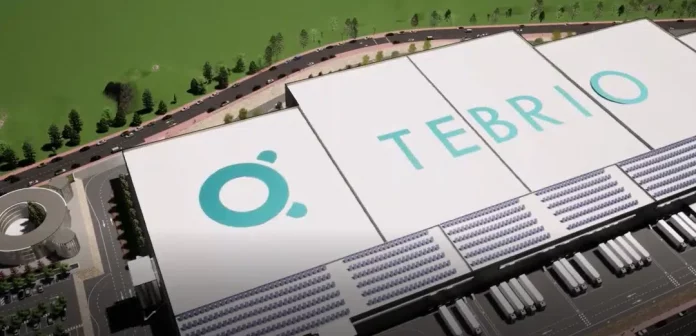 Tebrio