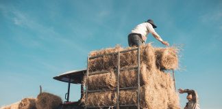 Denuncia que los autónomos agrarios verán reducidas sus prestaciones hasta en un 44 por ciento autónomos agrarios