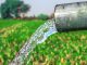 La prórroga de la Directiva Marco del Agua enfrenta a PP y PSOE en Castilla-La Mancha calidad del agua de riego