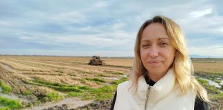 Una agricultora valenciana patenta una tecnología que acorta la cocción del arroz redondo Mari Carmen Casañ