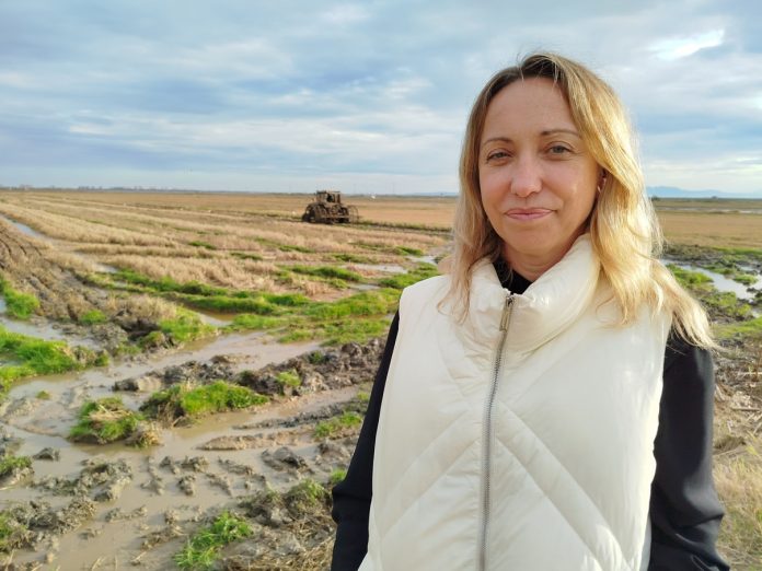 Mari Carmen Casañ
