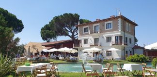 Tendencias clave en enoturismo para 2025: estrategia, emociones y sostenibilidad enoturismo