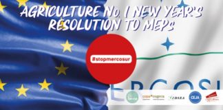 La agricultura, primer propósito de año nuevo para los eurodiputados. Copa-Cogeca mercosur
