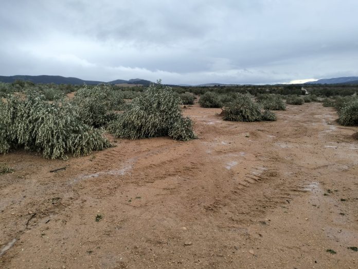 tornado de Torre de Juan Abad