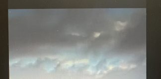 Vídeo. Un tornado arranca olivos de cuajo en la provincia de Ciudad Real