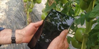 La CE confirma el adelanto de hasta el 70 por ciento del anticipo de la PAC agrónomo digital