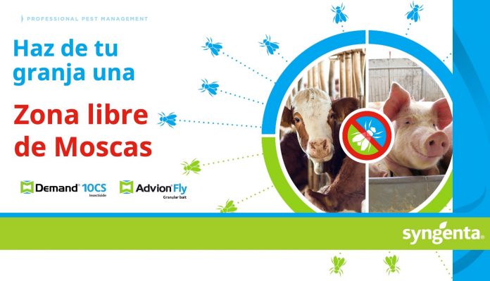 granja libre de moscas