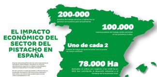 El pistacho, nuevo motor de empleo del campo español
