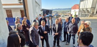 El ministro de Agricultura defiende la estabilidad en los precios del aceite Luis Planas