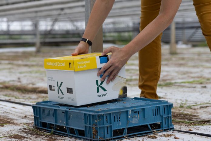 Natupol Excel - Koppert colmenas Natupol