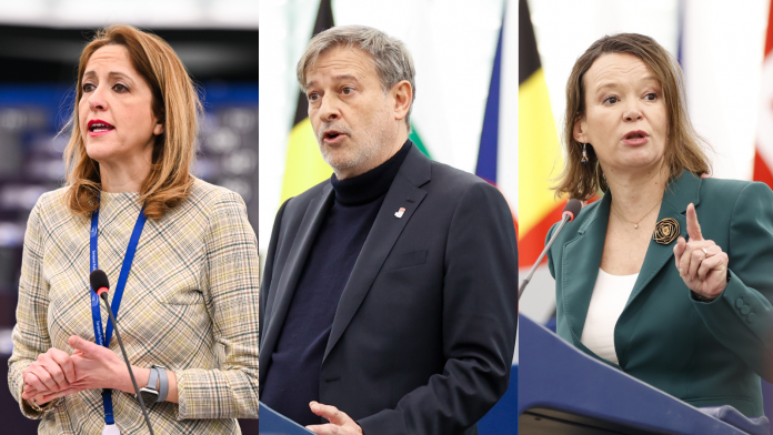 Delegación Socialista Española en el Parlamento Europeo