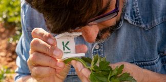 Las seis ventajas del control biológico que debes conocer para mejorar el control de plagas y enfermedades control biológico