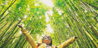 Cómo las empresas pueden reducir su huella de carbono con Bosques Sostenibles Bosques Sostenibles