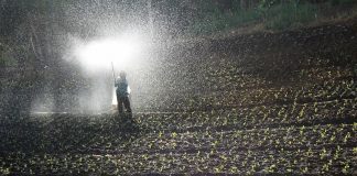 El sector agrario pierde 14.300 empresas y 35.000 empleos en solo cuatro años campo