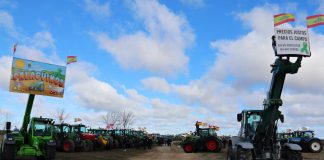 Palagüinos reúne a más de 450 tractores, símbolo del orgullo rural y un homenaje al campo Palagüinos