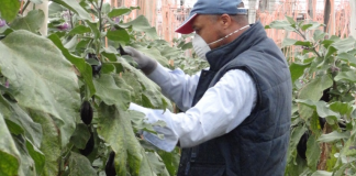 ASAJA reclama adaptar la reducción de jornada y la desconexión digital a la realidad del sector agrario trabajador campo