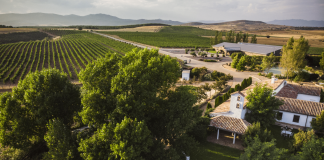 Finca Río Negro, nueva Denominación de Origen vínica de Castilla-La Mancha Finca Río Negro