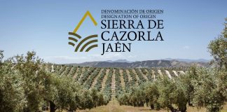 La DOP Aceite Sierra de Cazorla alcanza una producción de 205 millones de kilos de aceituna DOP Aceite Sierra de Cazorla