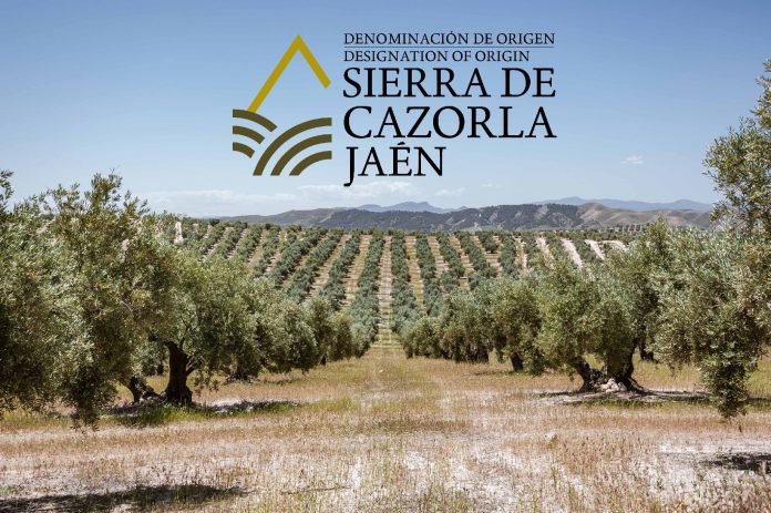 DOP Aceite Sierra de Cazorla