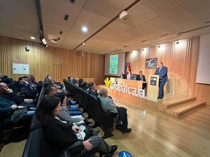 girasol medioambiental