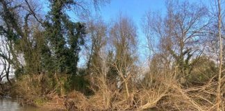 ASAJA Toledo denuncia que los desbordamientos de arroyos anegan las explotaciones de ganaderos y agricultores desbordamientos de arroyos