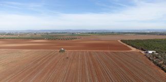 El Ministerio de Agricultura destina 100 millones adicionales de ayudas directas de la PAC campo