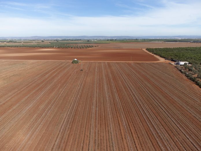 campo