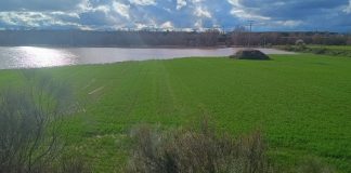 Las lluvias alivian la sequía en gran parte de España, pero generan problemas en algunas regiones cultivo inundado