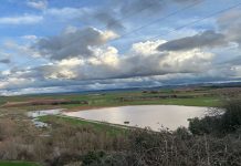 El Gobierno aprueba 2.874 millones para el sector agrario afectado por las borrascas en Andalucía y Extremadura inundaciones