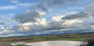 Vídeo. Las lluvias provocaron inundaciones en los cultivos de la provincia de Toledo inundaciones