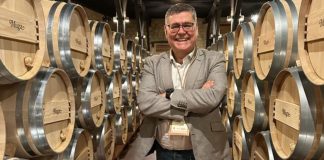 “El enoturismo es clave para maximizar ingresos y rentabilidad de la bodega» Manuel Romero