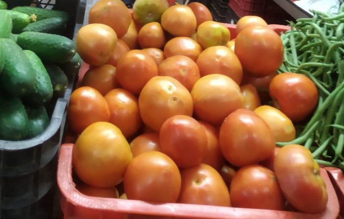 tomate