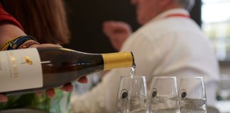 El programa ‘Catas y Armonías’ de FENAVIN destilará sabor manchego Catas y Armonías