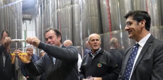 Castilla-La Mancha alcanzó una producción «histórica» de 140.000 toneladas de aceite JCCM