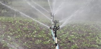 La Inteligencia Artificial ayuda a mantener el regadío combinando energía hidráulica y fotovoltaica instalaciones de riego