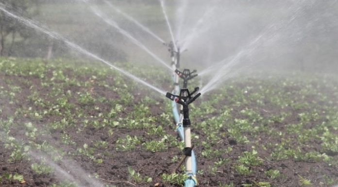 ASAJA Ciudad Real denuncia “el abandono del regadío y la criminalización injusta de los agricultores de la provincia” instalaciones de riego