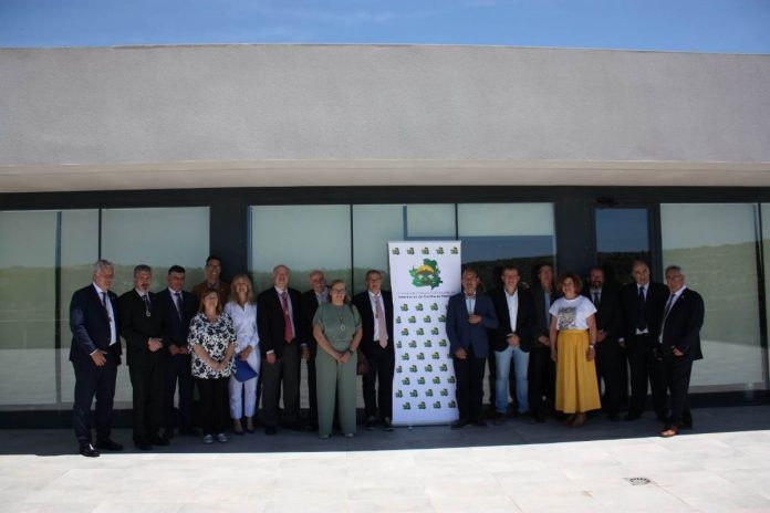 veterinarios de Castilla-La Mancha