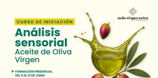 Aula Virgen Extra lanza una nueva edición del curso de iniciación al Análisis Sensorial de Aceite de Oliva Virgen EUROCAJA