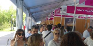 FERACAM abre sus puertas este jueves con más stands y repleto de acciones para empresas y público FERACAM recursos genérica