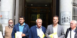 Denuncia una «manipulación» de precios en el aceite de oliva que podría costar 2.800 millones a los olivareros manipulación de precios en el aceite de oliva