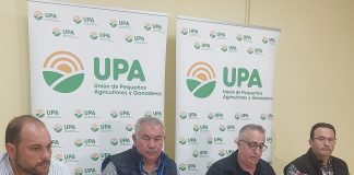 Costes disparados y mercados mundiales distorsionados dibujan un panorama negro para el cereal español UPA cereales