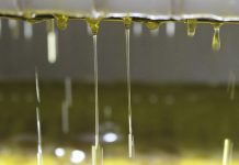 Ligero descenso en el precio en origen del aceite de oliva y aumento en las salidas aceite