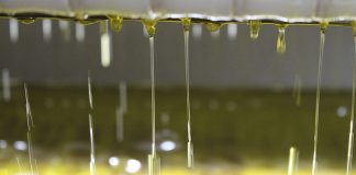 Ya hay precios para los aceites de oliva de la nueva campaña aceite