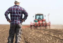 Los no considerados agricultores activos no cobrarán las ayudas de la próxima PAC agricultores