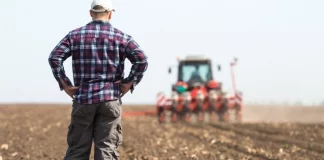 Los no considerados agricultores activos no cobrarán las ayudas de la próxima PAC agricultores