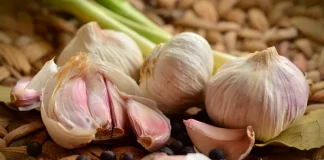 El ajo iberoamericano une fuerzas para un futuro común ajo