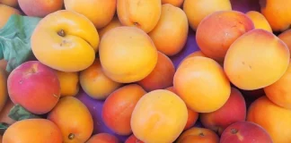 Buenas perspectivas en la campaña de fruta de verano, a pesar de las últimas granizadas fruta de verano