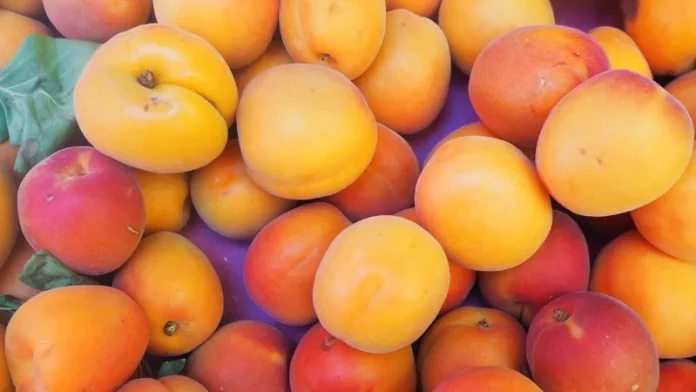 fruta de verano