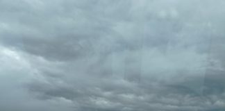 Las tormentas de granizo dejan “daños catastróficos” en los cultivos de Castilla-La Mancha tormenta de granizo