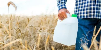 Residuos orgánicos: ¿Qué son y cómo tratarlos? Residuos orgánicos